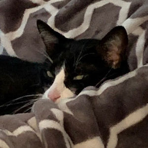 Meet your Posher, Olivia